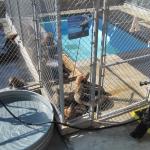 Tour_d_SoCal2_0015 (September 11, 2015)